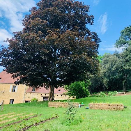 L'Ecrin Des Symes Villa Simeyrols Exterior photo
