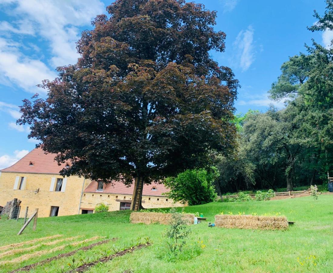 L'Ecrin Des Symes Villa Simeyrols Exterior photo